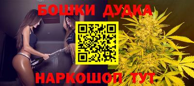 Альфа ПВП Лесосибирск
