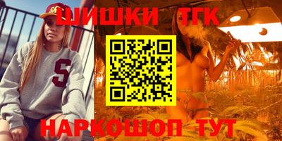 Альфа ПВП Лесосибирск