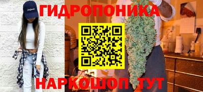 Альфа ПВП Лесосибирск